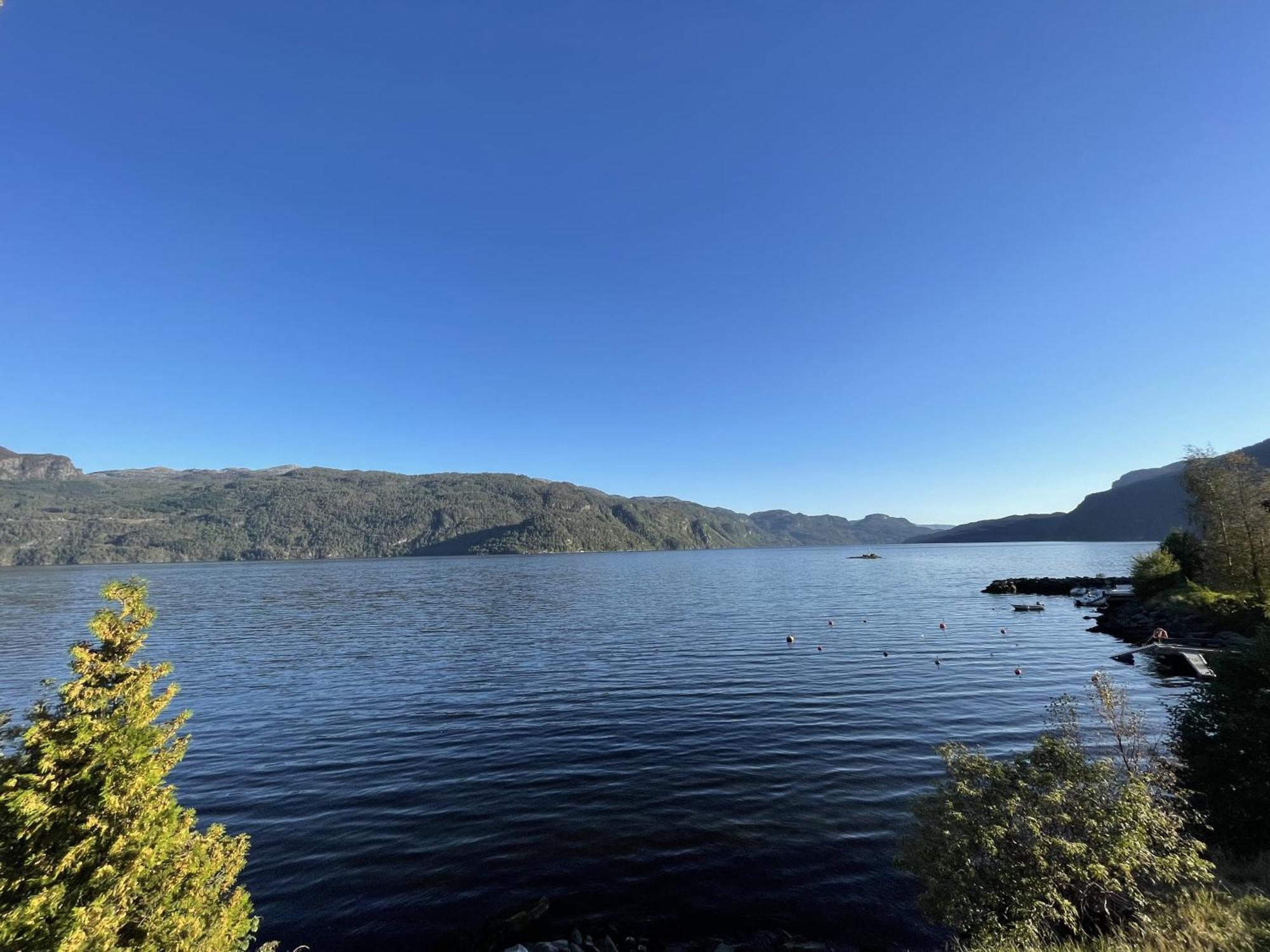 Sauda Fjord Camping Saudasjoen ภายนอก รูปภาพ